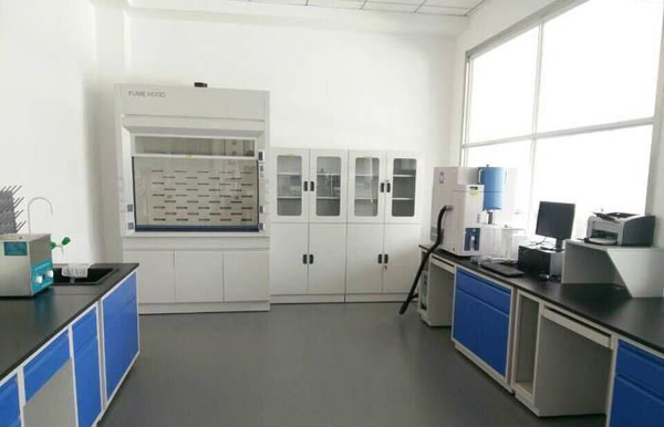 疾控中心用實驗室純水機